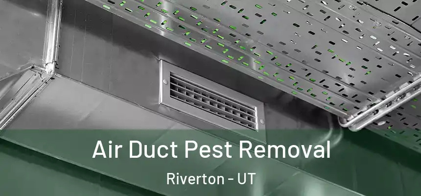  Air Duct Pest Removal Riverton - UT
