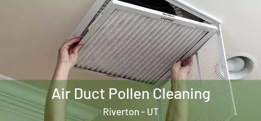  Air Duct Pollen Cleaning Riverton - UT