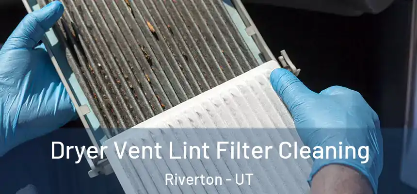  Dryer Vent Lint Filter Cleaning Riverton - UT