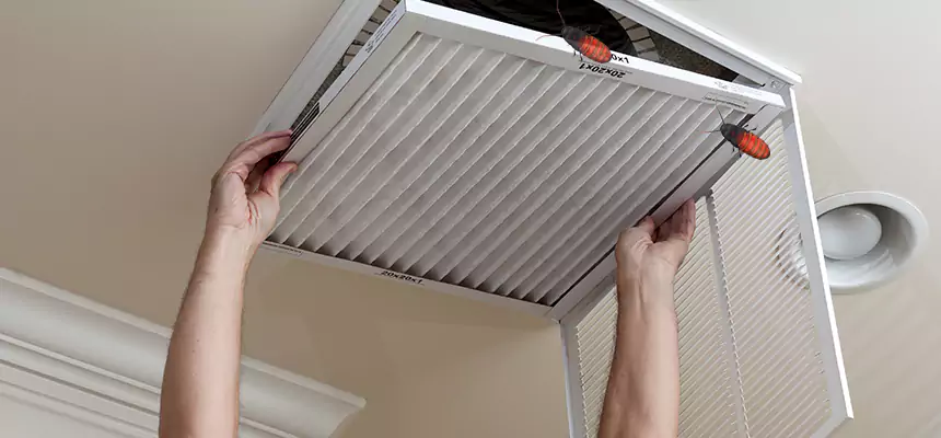 Preventive Cockroach-Proofing for Ducts in Riverton