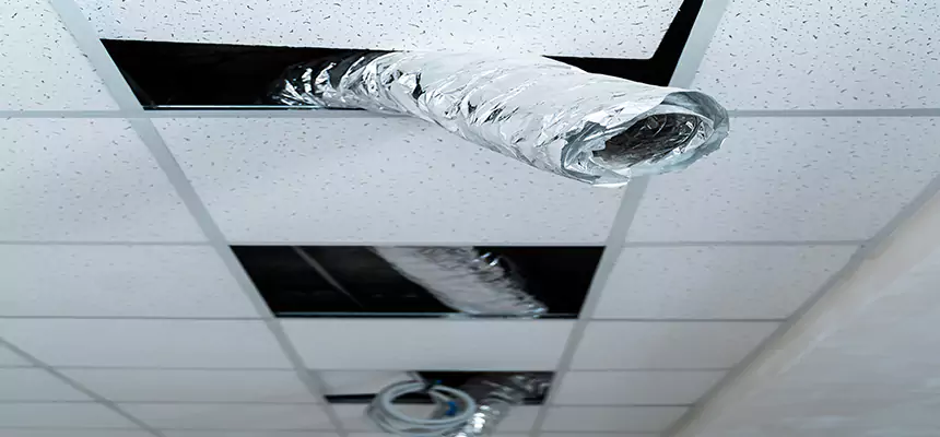 Our Air Duct Pet Hair Removal Services in Riverton, UT