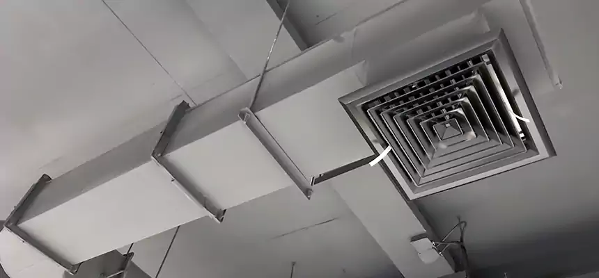 Our Pest Removal From Ducts Services in Riverton, UT