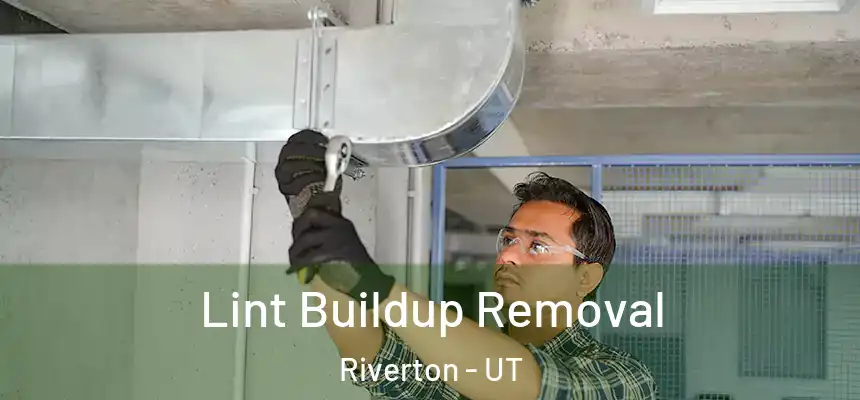  Lint Buildup Removal Riverton - UT