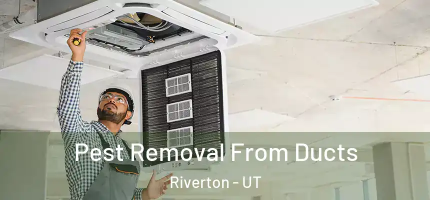  Pest Removal From Ducts Riverton - UT