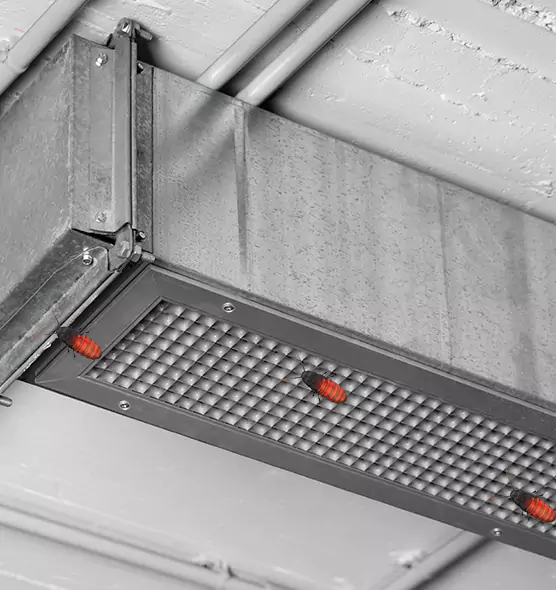 About Air Duct Cockroach Removal in Riverton, UT