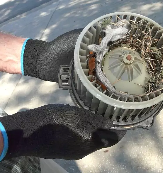 About Air Duct Rat Removal in Riverton, UT